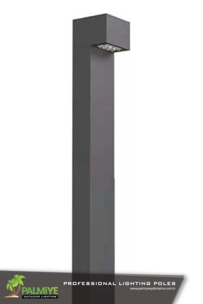 ELANIS – Palmiye Lighting original product